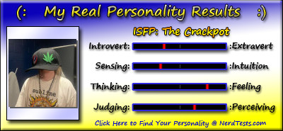 Take the fun personality test @ NerdTests.com.  Click here!