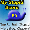 The Stupid Quiz said I am "Kinda Smart, but Stupid!" How stupid are you? Click here to find out!