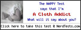 The Nappy Test -- Create and Take a Fun Test @ NerdTests.com's User Tests!