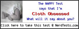 The Nappy Test -- Make and Take a Fun Test @ NerdTests.com's User Tests!