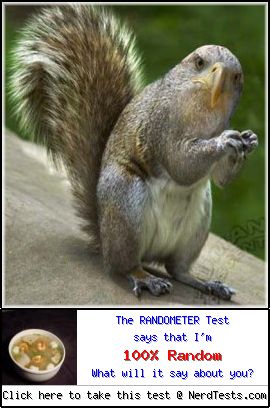 The Randometer Test -- Create and Take a Fun Test @ NerdTests.com's User Tests! The Randometer Test -- Create and Take a Fun Test @ NerdTests.com's User Tests!