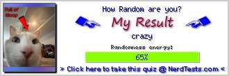 How Random are you? -- Make and Take a Fun Test @ NerdTests.com's User Tests!