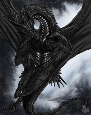 what type of dragon are you? -- Create and Take a Fun Test @ NerdTests.com's User Tests!