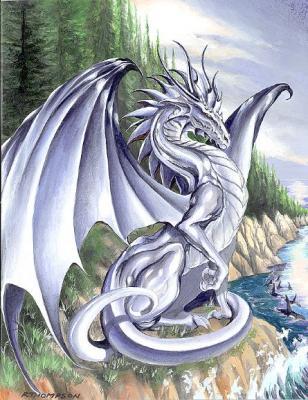 what type of dragon are you? -- Make and Take a Fun Test @ NerdTests.com's User Tests!