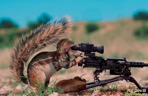 squirrel gun