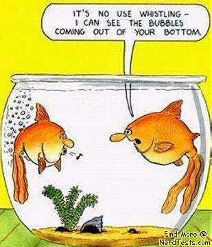 fish-farting-bubbles