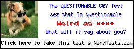 The Questionable G@y Test -- Create and Take a Fun Quiz @ NerdTests.com's User Tests!