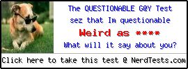 The Questionable G@y Test -- Create and Take a Fun Test @ NerdTests.com's User Tests!