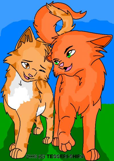 Nerdtests Com Test Warrior Cat Test Nerdtests Com Test Warrior Cat Test