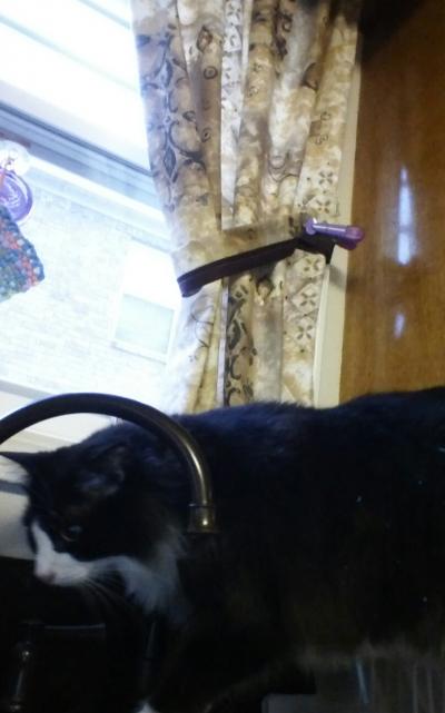 NerdTests.com Test: are you a minecraft pro