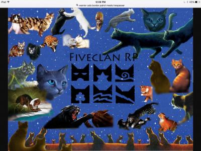 Warrior cats clans