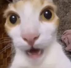 would i be your friend? -- Make and Take a Fun Quiz @ NerdTests.com's User Tests!