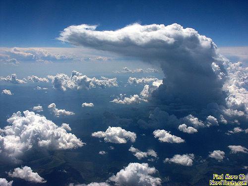 Crocodile Cloud