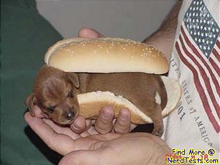 hotdog