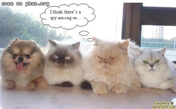 haha