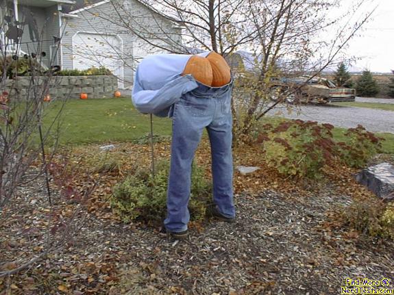 Halloween Butt