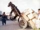 Overloaded Donkey